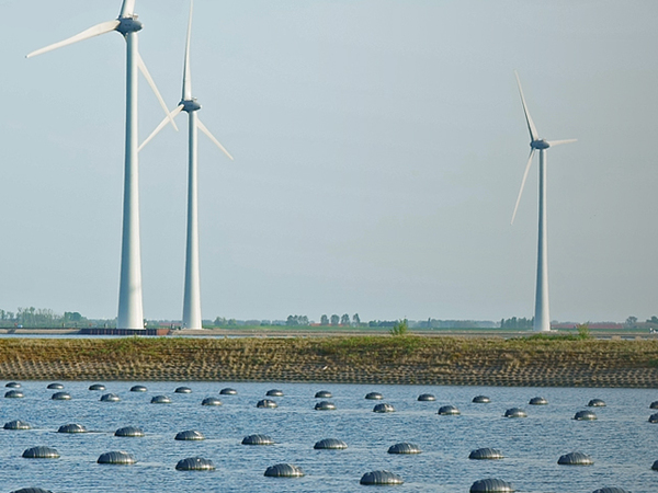 'Het is van levensbelang voor de sector dat we mosselen blijven promoten'